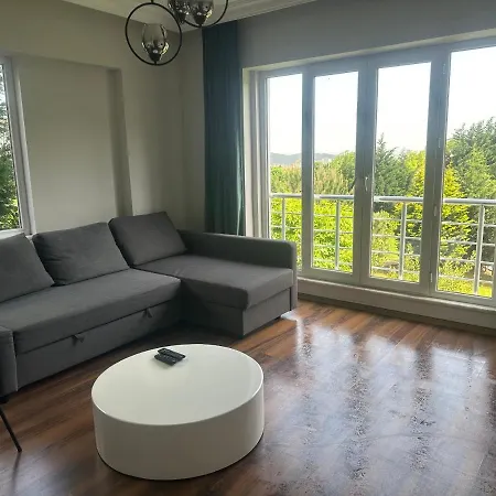 Sabiha Goekcen 2 1 Near To Sabiha Gokcen Airport * Istanbul